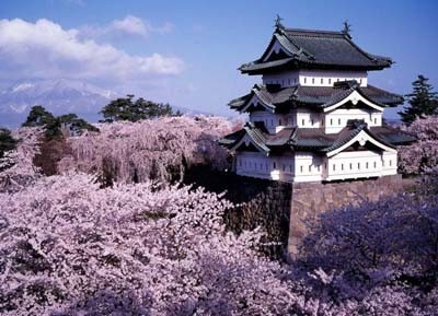 صورة السياحة في اليابان – تعرف على أشهر المعالم السياحية