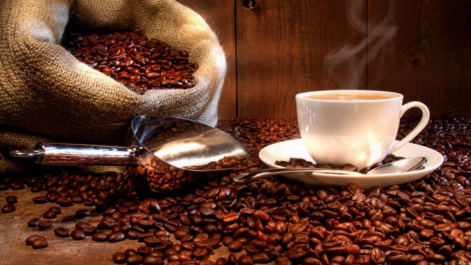 الفوائد الصحية للقهوة